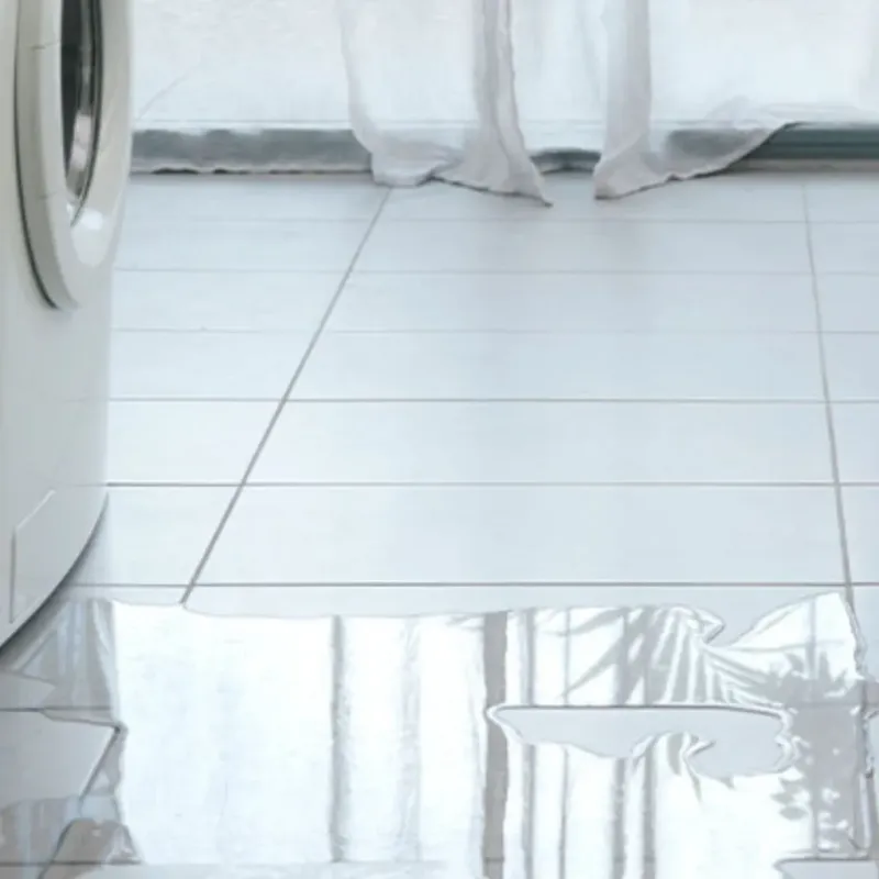 Appliance Leak Cleanup in Sussex, NJ
