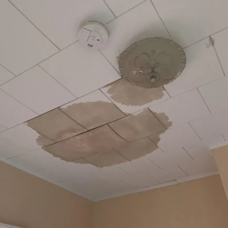 Ceiling Water Damage Repair in Sussex, NJ
