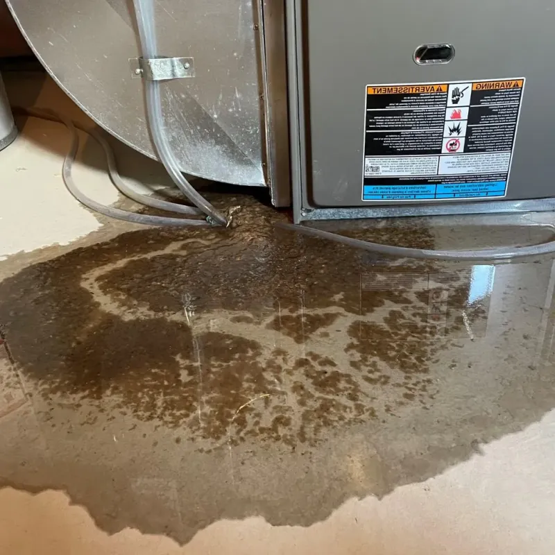 Pipe Burst and Leak Restoration in Sussex, NJ