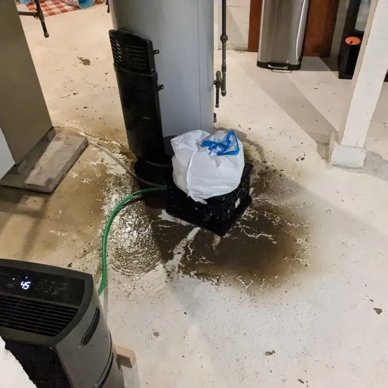 Sewage Backup Cleanup Service in Sussex, NJ